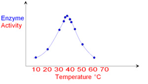 line graph